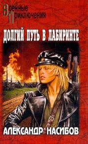 Долгий путь в лабиринте (1981)