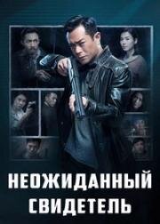 Неожиданный свидетель (2019)