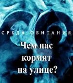 Среда обитания. Чем нас кормят на улице