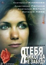 Я тебя никогда не забуду (2013)