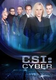 CSI: Киберпространство (2015)